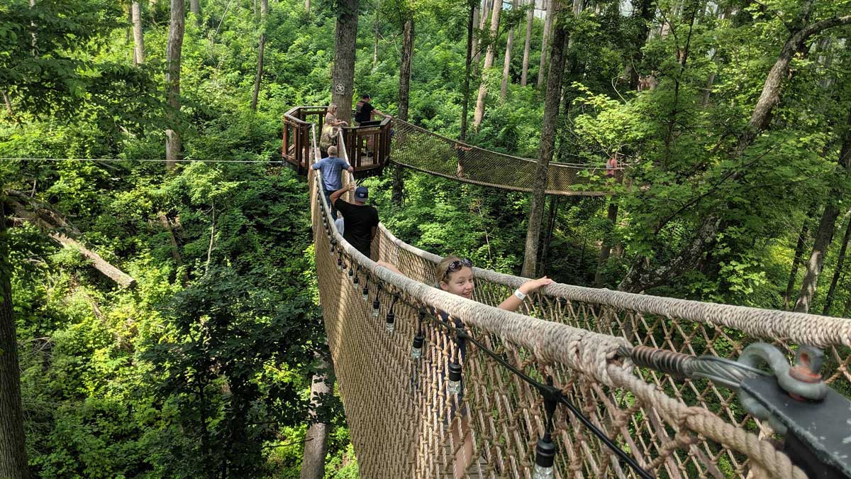 Treetop walkway at Anakeesta in Gatlinburg