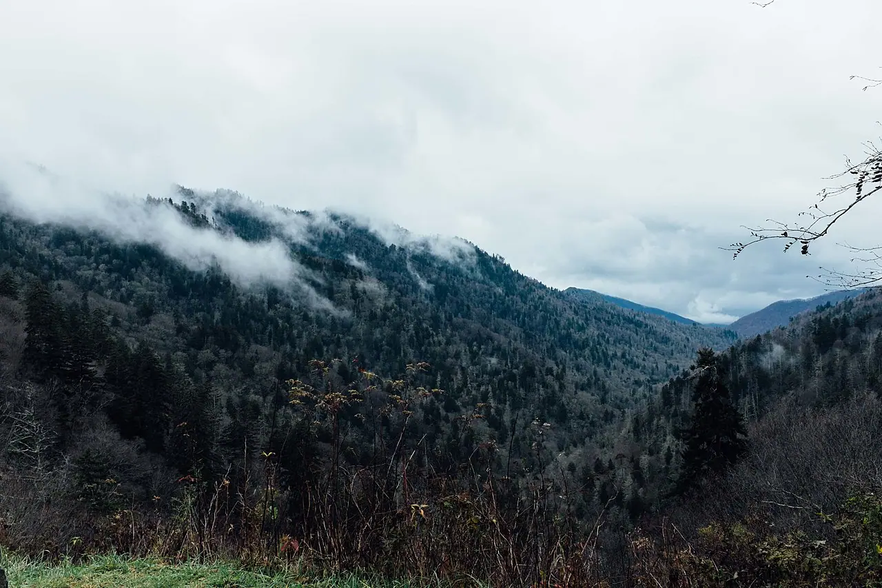 Hikers with a guide in the Smokies