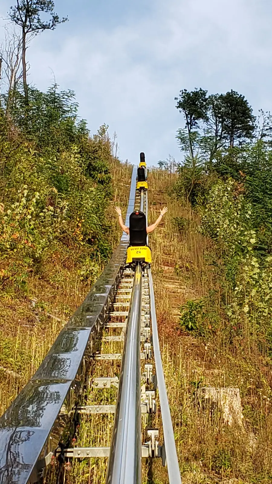 Rail Runner (at Anakeesta)