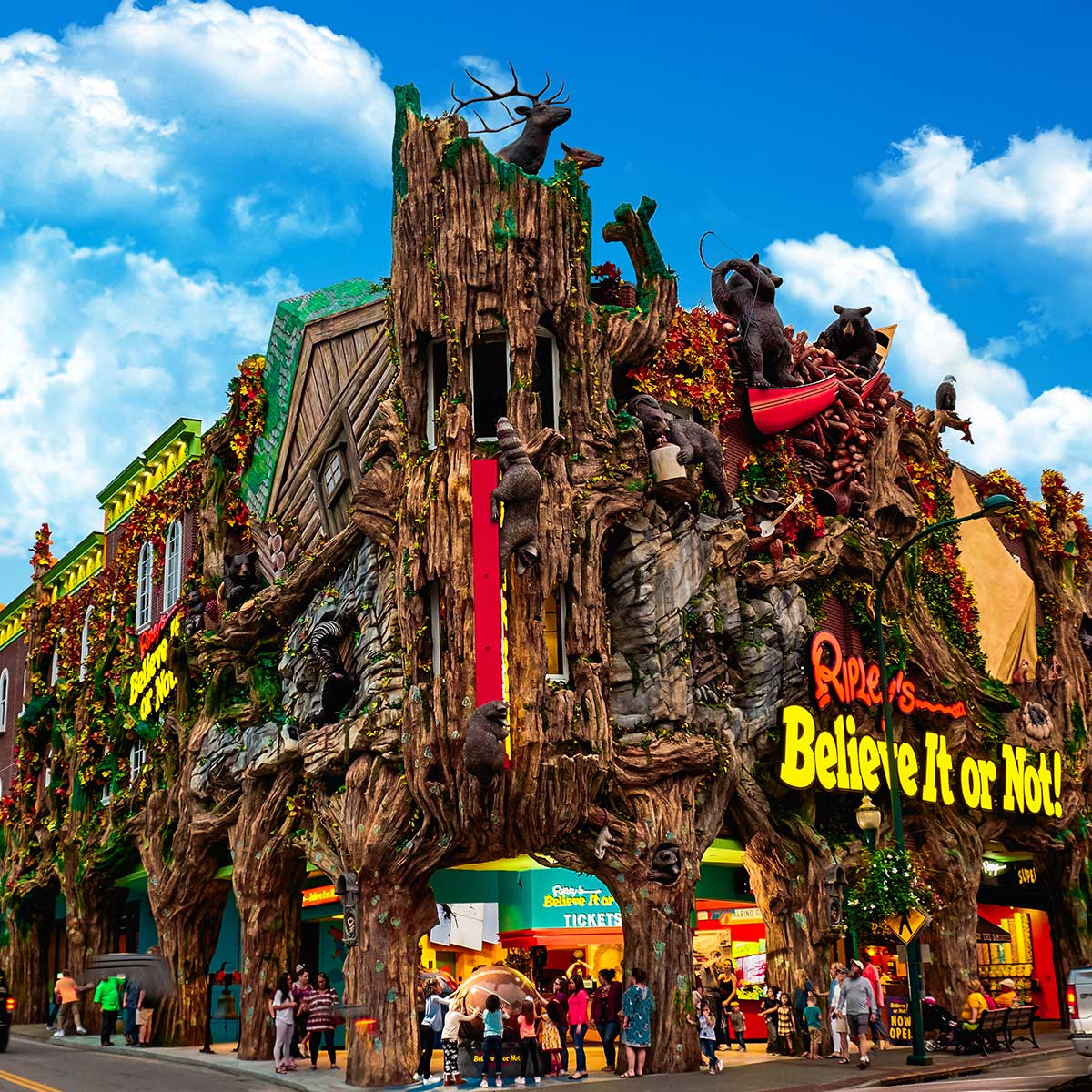 Ripley’s Believe It or Not!