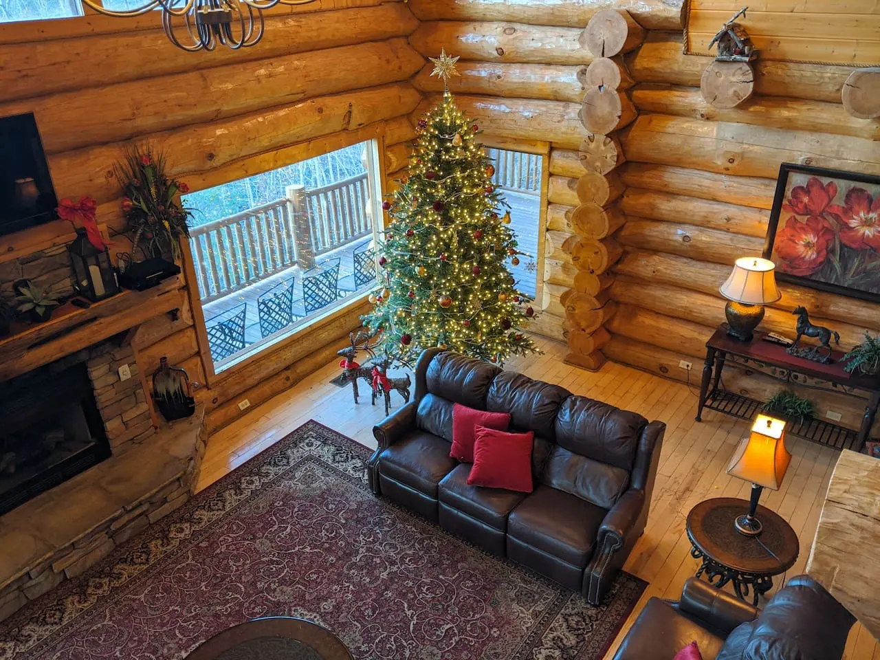 Christmas tree in the living room
