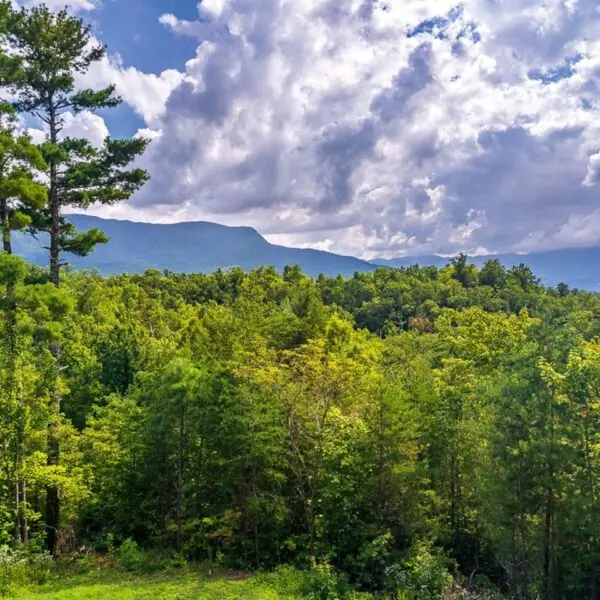View of the Smoky Mountains from Big Bear Ridge Lodge