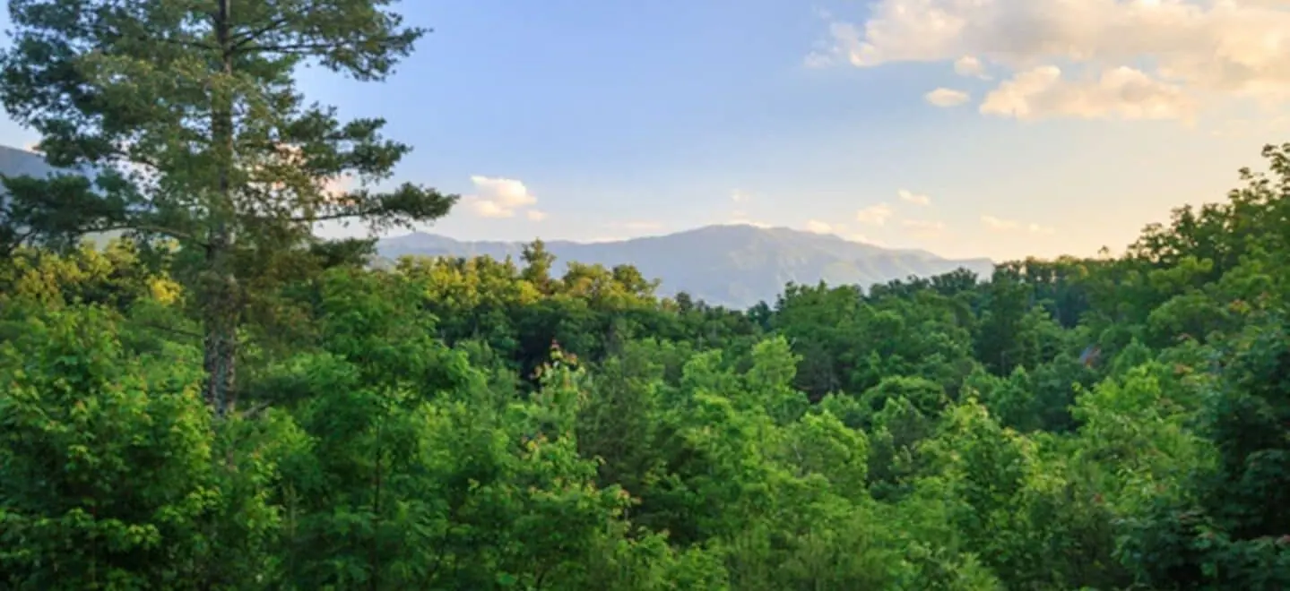 View of the Smoky Mountains from Big Bear Ridge Lodge